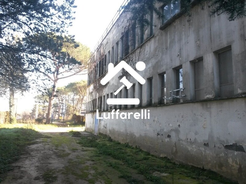 Immagine di CAPANNONE / IMMOBILI INDUSTRIALI LOCALITÀ CASTELLACCIO – VIA CASILINA KM. 57.500 – PALIANO