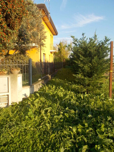 APPARTAMENTO VIA RIVA DI FIUME - ESTE — foto 3