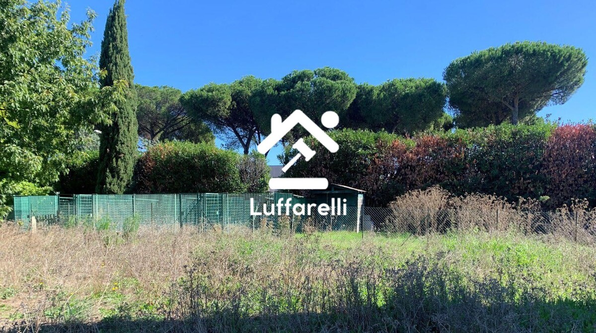 Immagine di CAPANNONE / IMMOBILI INDUSTRIALI VIA DELL’AGRICOLTURA – FIANO ROMANO