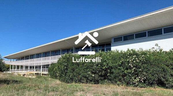 CAPANNONE / IMMOBILI INDUSTRIALI VIA DELL'AGRICOLTURA - FIANO ROMANO — foto 4