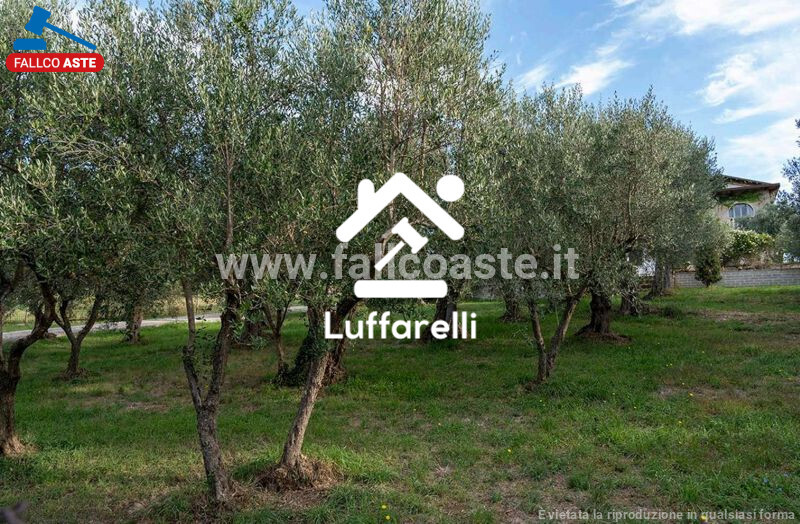 Immagine di APPARTAMENTO VIA COLLE AFRI – GALLICANO NEL LAZIO
