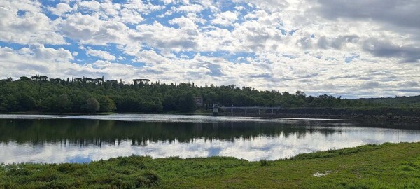 TERRENO LAGO CALCIONE - RAPOLANO TERME — foto 7