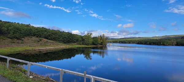 TERRENO LAGO CALCIONE - RAPOLANO TERME — foto 4