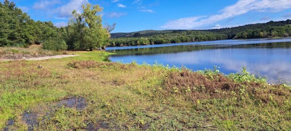 TERRENO LAGO CALCIONE - RAPOLANO TERME — foto 2