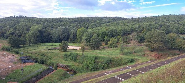 TERRENO LAGO CALCIONE - RAPOLANO TERME — foto 5