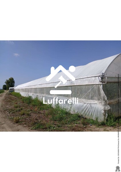 TERRENO VIA FALASCOSA - FONDI — foto 5