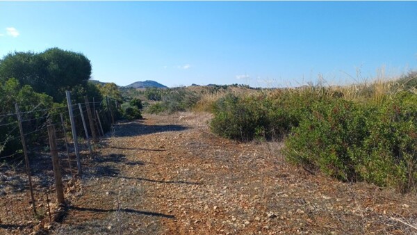 TERRENO LOCALITÀ GENNA SU CARRU - SERRENTI — foto 2