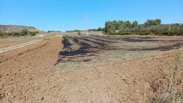 TERRENO LOCALITÀ CORAXIS - SERRENTI — foto 2