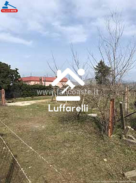 TERRENO VIA DI CAMPO GRAZIA S.N.C - ROMA — foto 3
