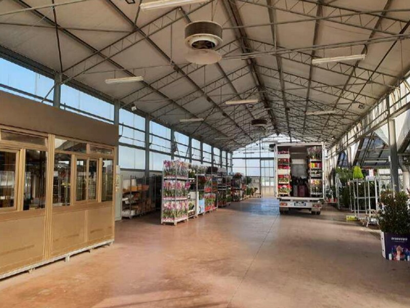 Immagine di COMPENDIO VIA MONACHELLE VECCHIA – POMEZIA (RM)