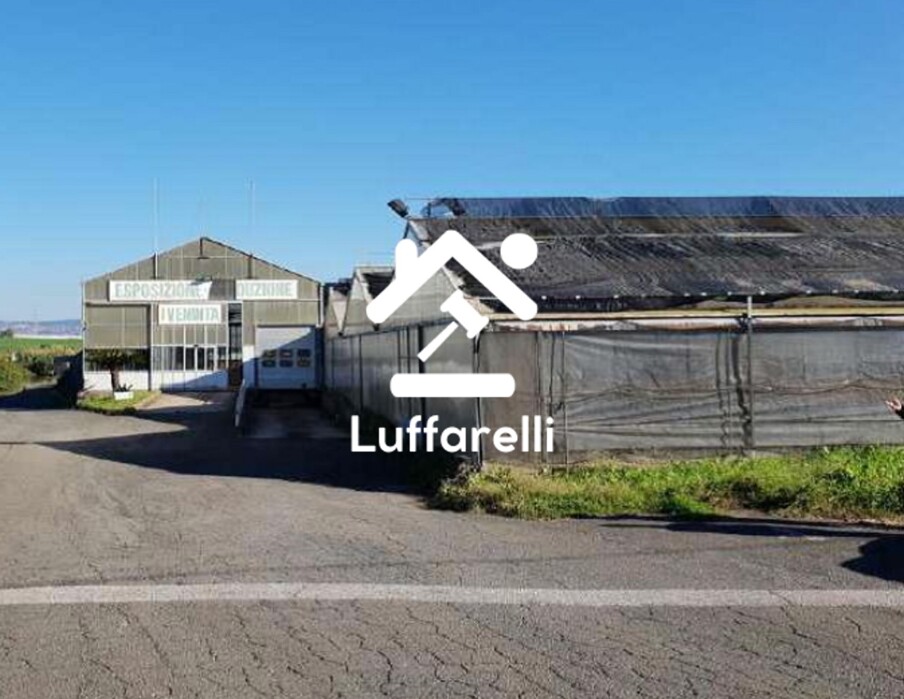 Immagine di COMPENDIO VIA MONACHELLE VECCHIA – POMEZIA (RM)