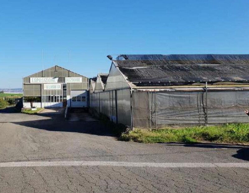 Immagine di COMPENDIO VIA MONACHELLE VECCHIA – POMEZIA (RM)