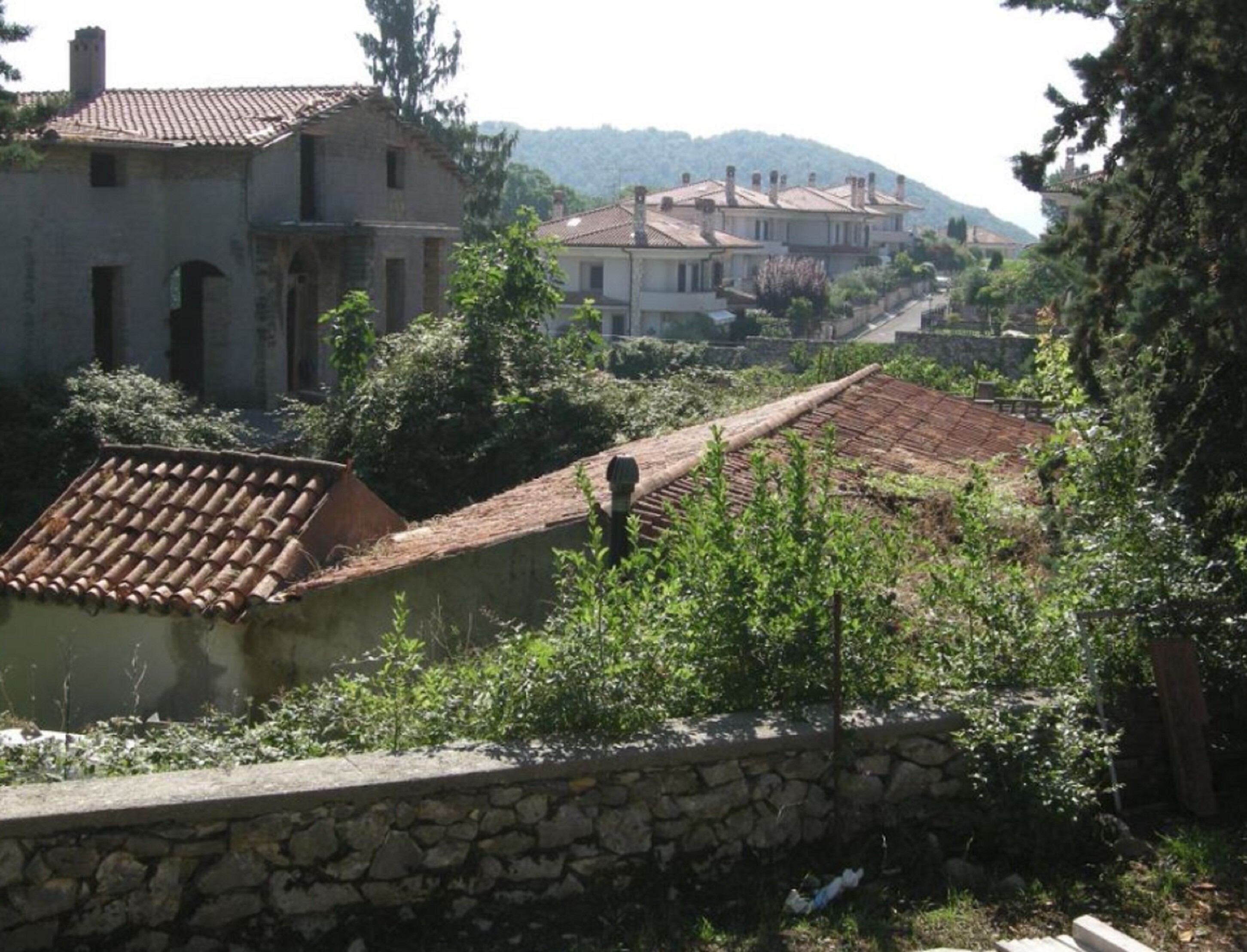 TERRENO EDIFICABILE, VIA DELLE MELE, 9,SEGNI (RM) — foto 3