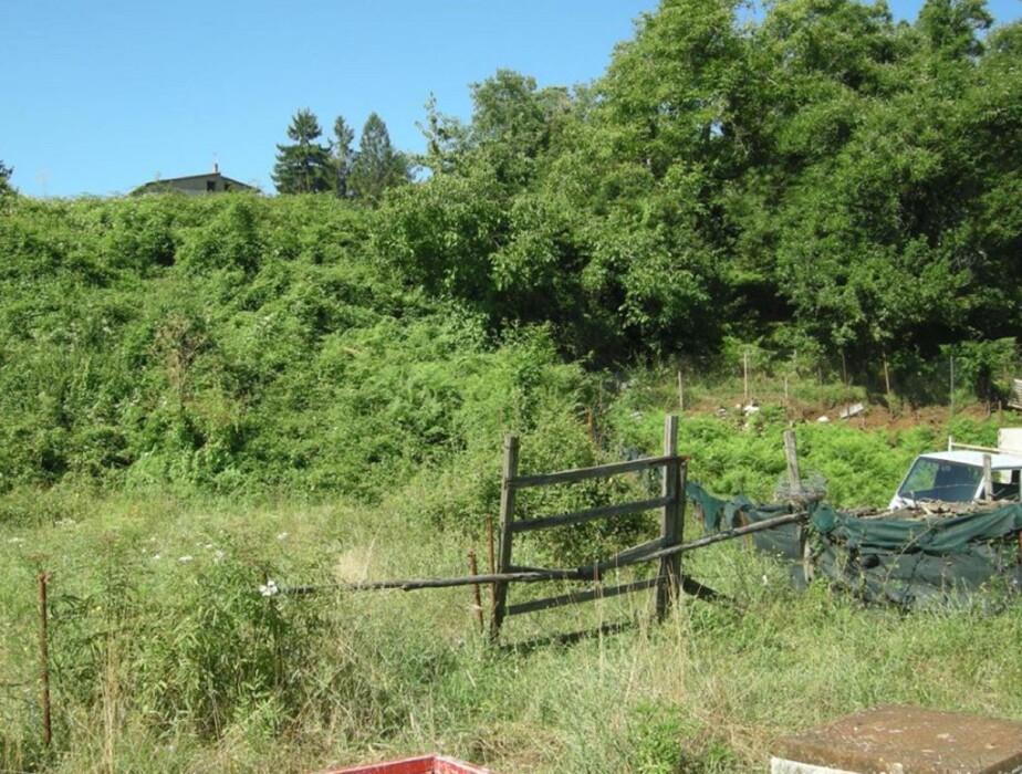 Immagine di TERRENO EDIFICABILE, VIA DELLE MELE, 9,SEGNI (RM)