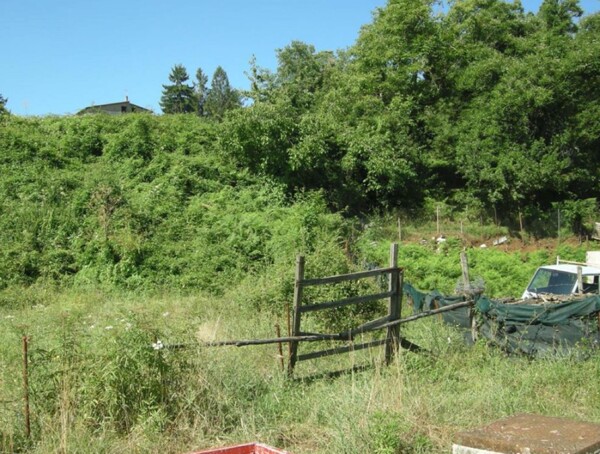 TERRENO EDIFICABILE, VIA DELLE MELE, 9,SEGNI (RM) — foto 5