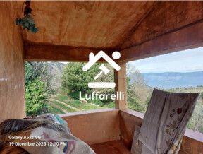STRUTTURE AGRICOLE LOCALITÀ SAN BENEDETTO - AMASENO — foto 5