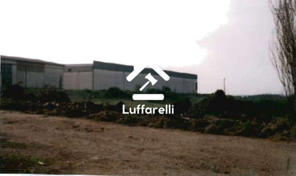TERRENO VIA TORRE BRUNA - APRILIA — foto 4