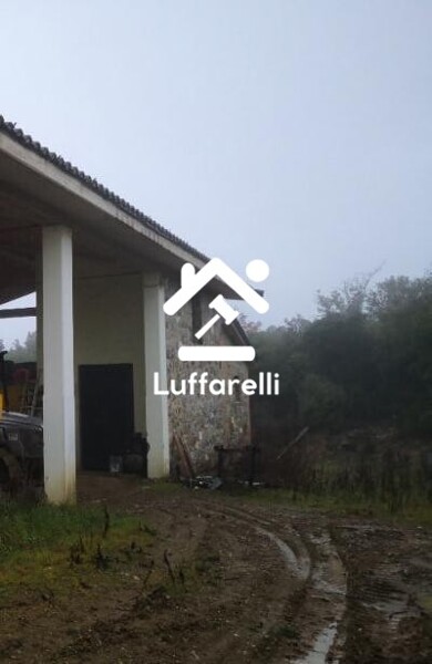 TERRENO MURLO - MURLO — foto 5