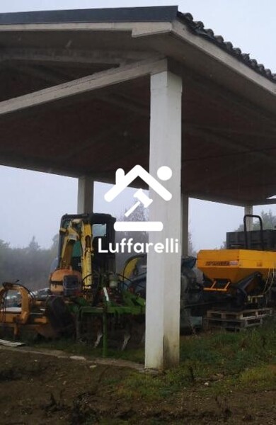 TERRENO MURLO - MURLO — foto 4