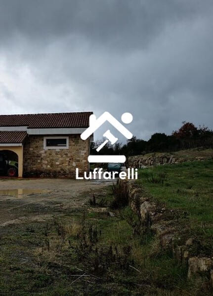 TERRENO MURLO - MURLO — foto 9