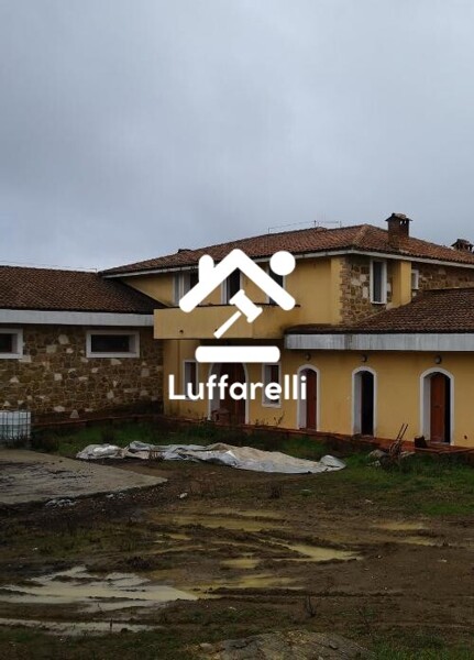 TERRENO MURLO - MURLO — foto 2