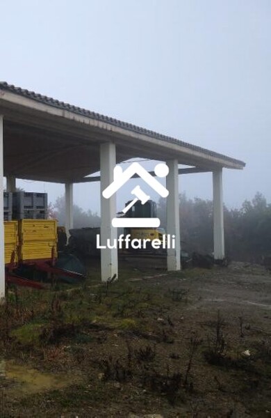 TERRENO MURLO - MURLO — foto 7