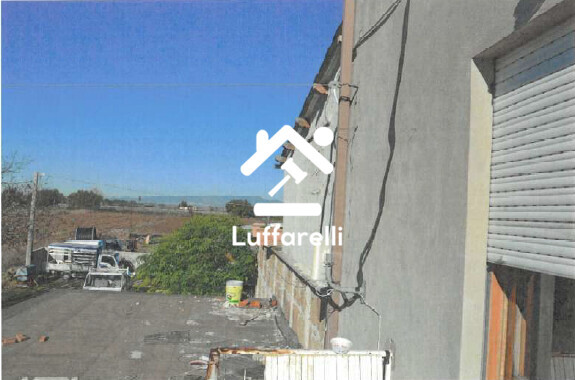 TERRENO VIA DORMIGLIOSA - SERMONETA — foto 4
