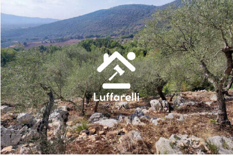 Immagine di TERRENO LOCALITA’ MONTE COLLE VACCARA – MAENZA