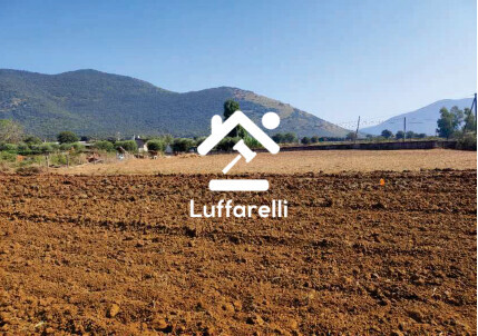 TERRENO VIA PIETRA ERTA - MAENZA