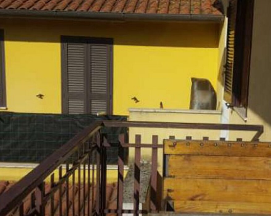 Immagine di CASA / VILLA VIA MACERE – ARTENA