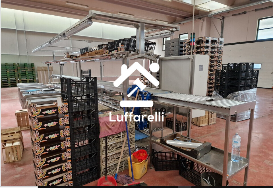 Macchinari Per L'Industria Alimentare E Conserviera — foto 2