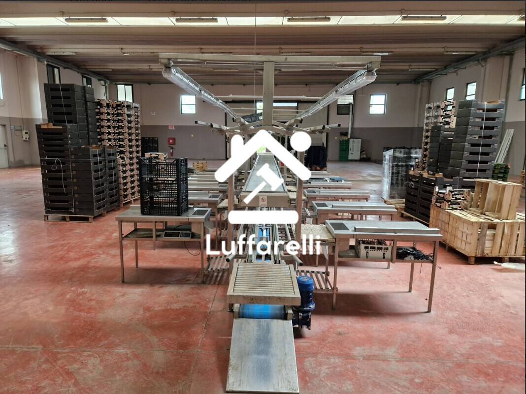 Macchinari Per L'Industria Alimentare E Conserviera — foto 5