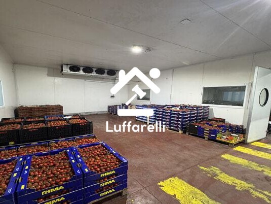 CAPANNONE / IMMOBILI INDUSTRIALI VIA SETTE ACQUE - FONDI — foto 4