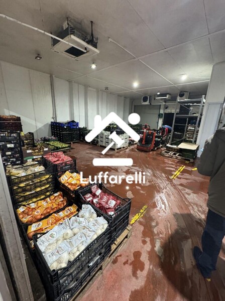 CAPANNONE / IMMOBILI INDUSTRIALI VIA SETTE ACQUE - FONDI — foto 6