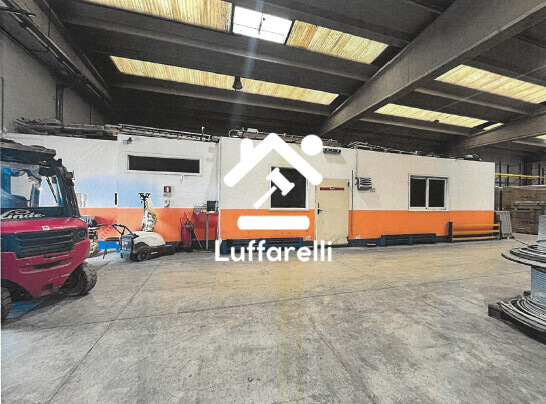 CAPANNONE / IMMOBILI INDUSTRIALI VIA TAGLIO DELLE CINQUE MIGLIA - NETTUNO — foto 3
