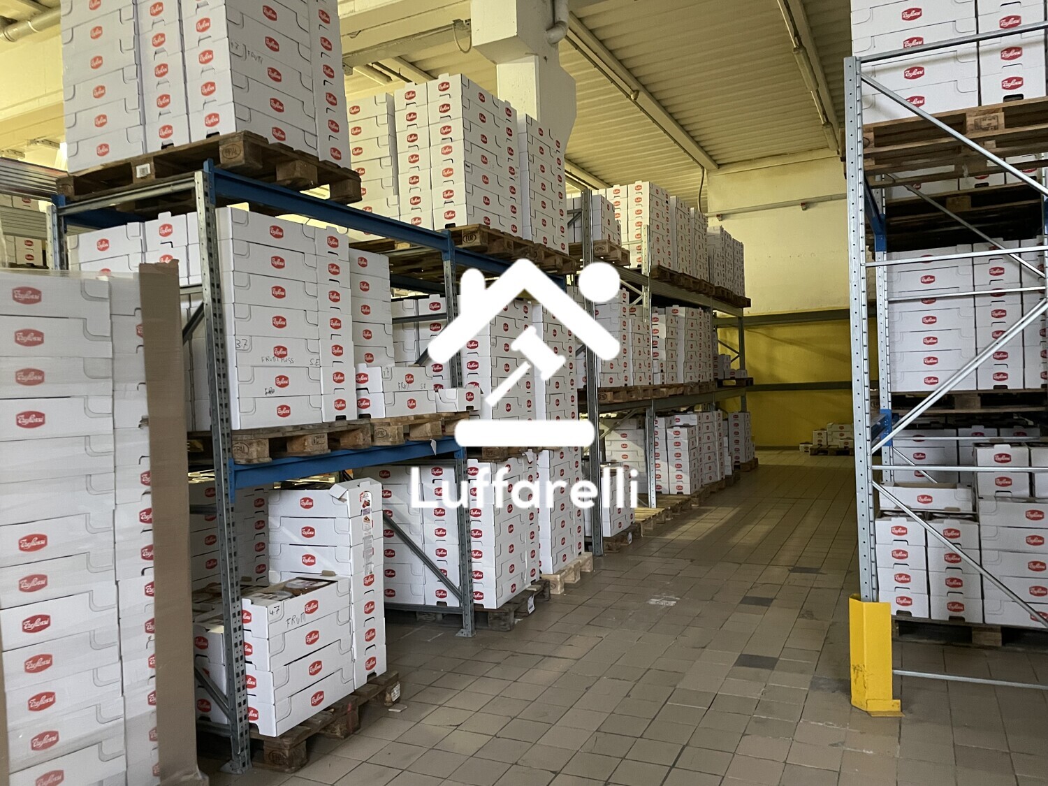Macchinari Per L'Industria Alimentare E Conserviera — foto 2
