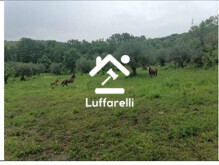 TERRENO VIA PONTE SERENO - FERENTINO
