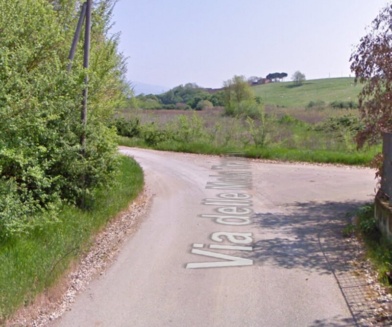 Immagine di AZIENDA AGRICOLA in Via Consolare 69 SEGNI (RM)