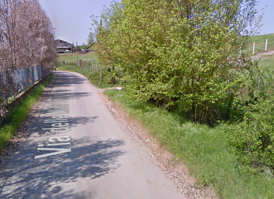 Immagine di AZIENDA AGRICOLA in Via Consolare 69 SEGNI (RM)