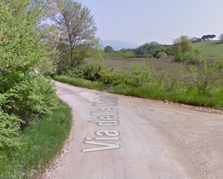 Immagine di AZIENDA AGRICOLA in Via Consolare 69 SEGNI (RM)