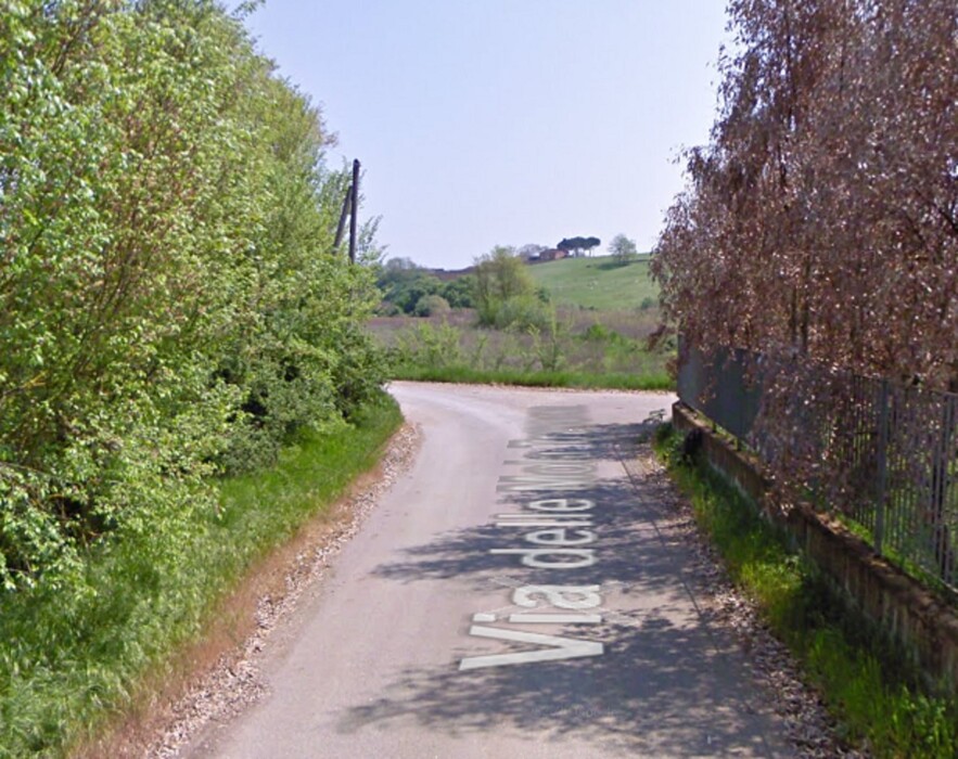 Immagine di AZIENDA AGRICOLA in Via Consolare 69 SEGNI (RM)