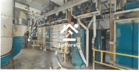 Attrezzature Ed Utensili — foto 2