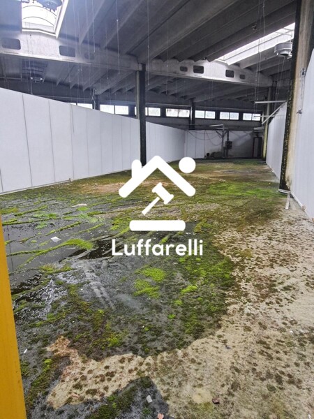 CAPANNONE 4 STRADA PROVINCIALE - LACCHIARELLA — foto 6