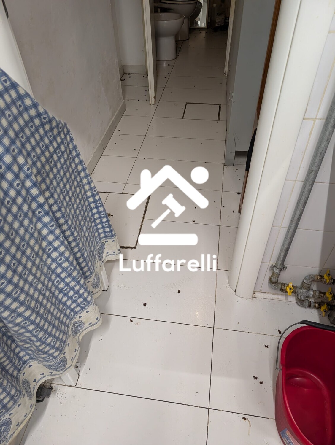 Elettrodomestici — foto 5