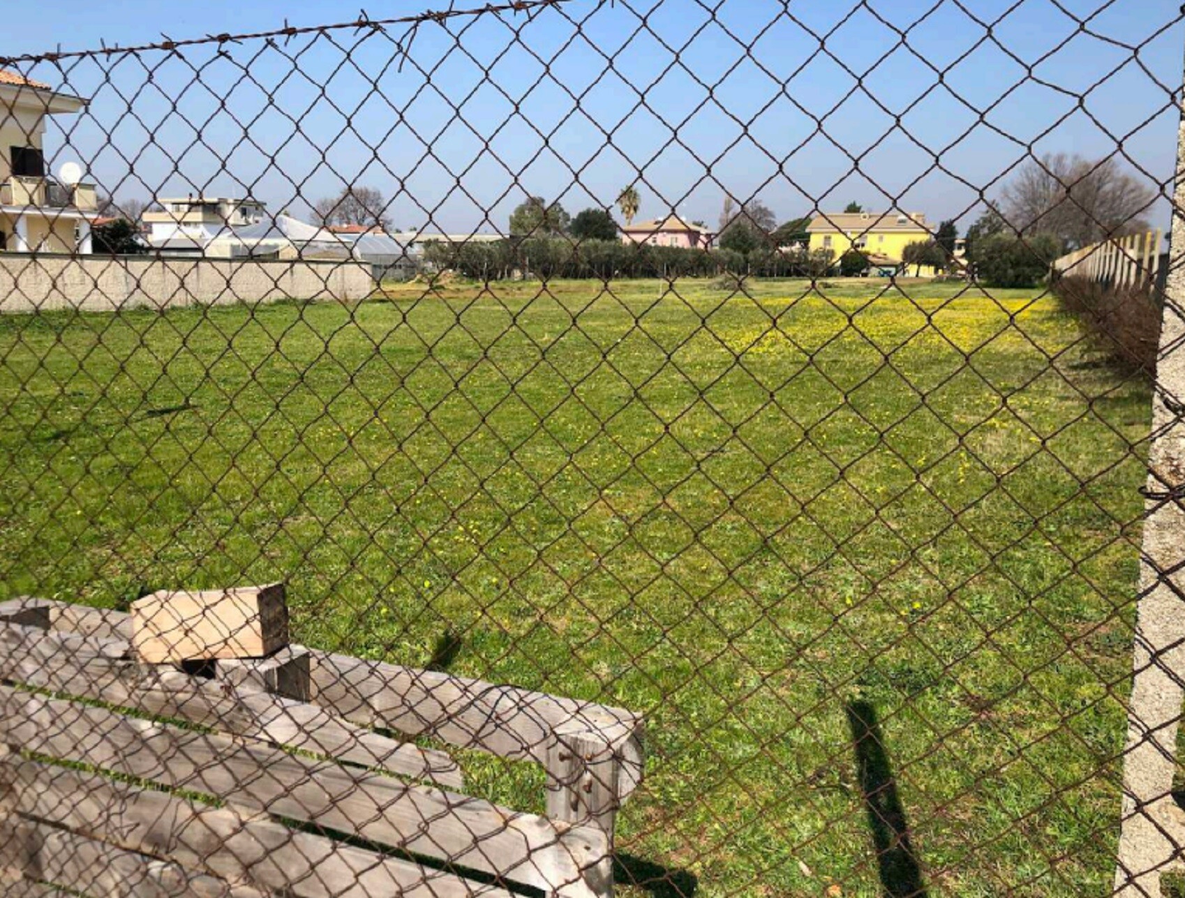 TERRENI ZONA SANDALO - NETTUNO (RM) — foto 3