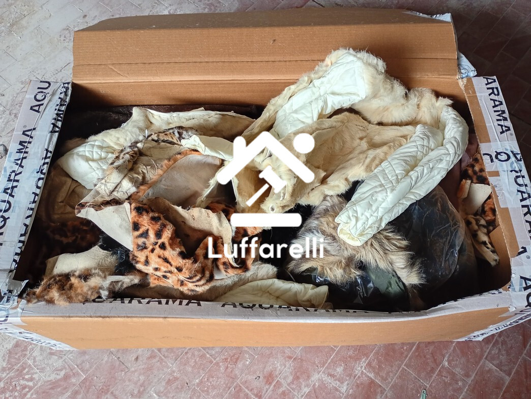 Attrezzature Varie — foto 6