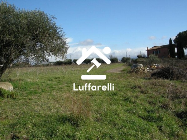 TERRENO VIA GIOVANNI PRATI - MARINO — foto 9