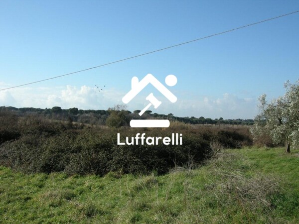 TERRENO VIA GIOVANNI PRATI - MARINO — foto 7