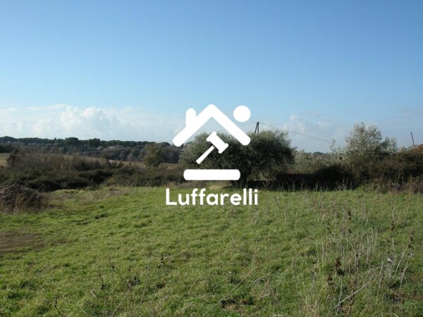 TERRENO VIA GIOVANNI PRATI - MARINO — foto 5