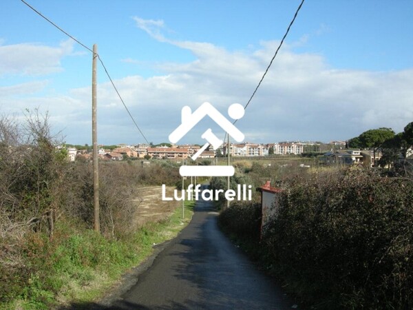 TERRENO VIA GIOVANNI PRATI - MARINO — foto 2
